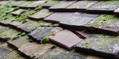 Cotham roof repair costs